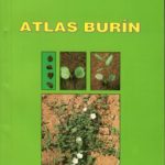 Atlas burín II. diel - fejtón _vyr_8173Obrazok--547